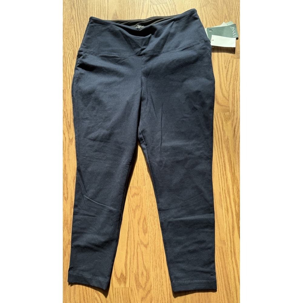 NWT Lyssé Plus Size 1X Taylor Seamed Leggings‎ Lightweight Ponte Ankle